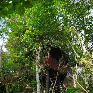 Resort Greens Tree House & Wood House, Sultan Bathery